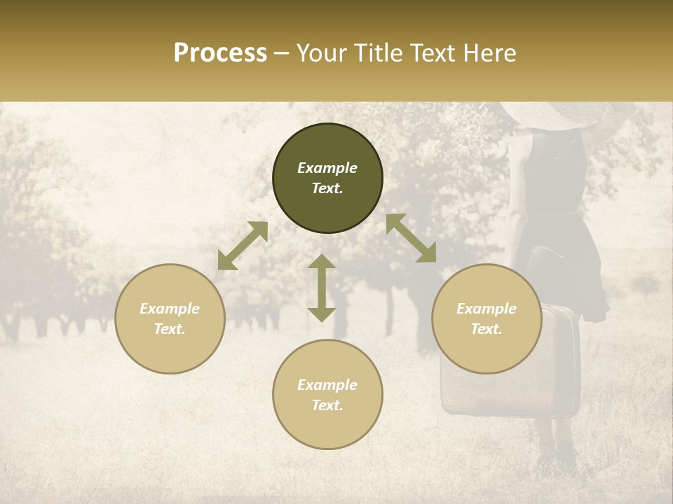 A Woman Carrying A Suitcase In A Field PowerPoint Template