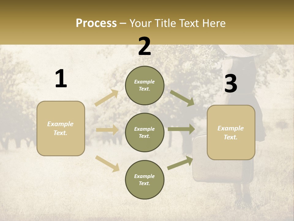 A Woman Carrying A Suitcase In A Field PowerPoint Template