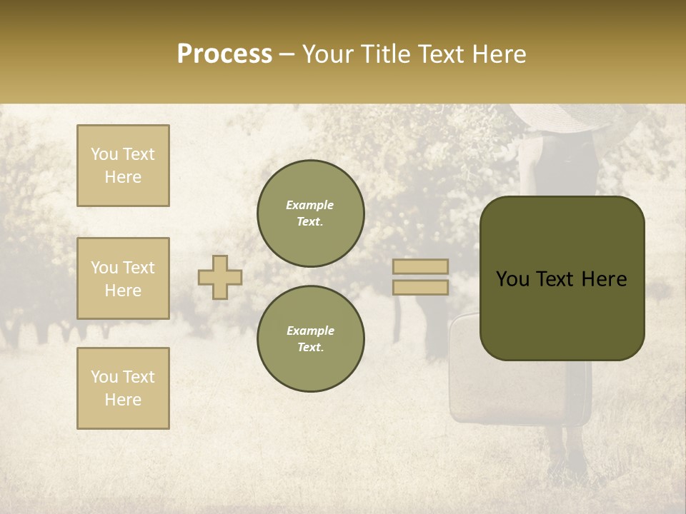 A Woman Carrying A Suitcase In A Field PowerPoint Template