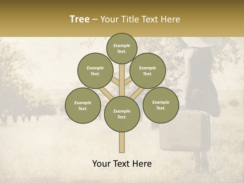 A Woman Carrying A Suitcase In A Field PowerPoint Template