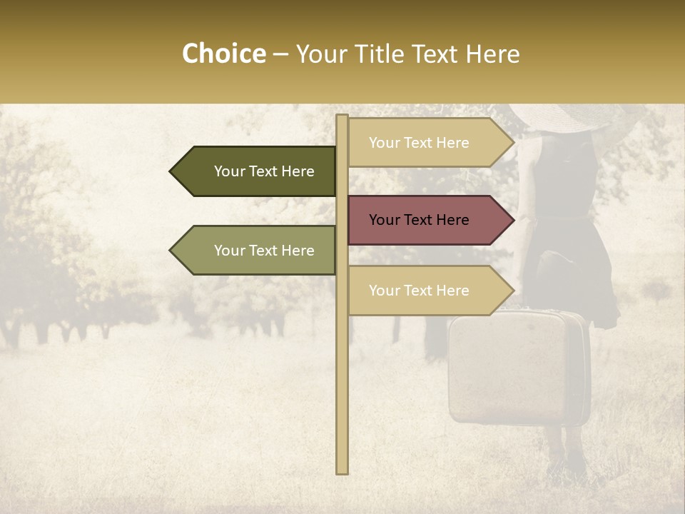A Woman Carrying A Suitcase In A Field PowerPoint Template