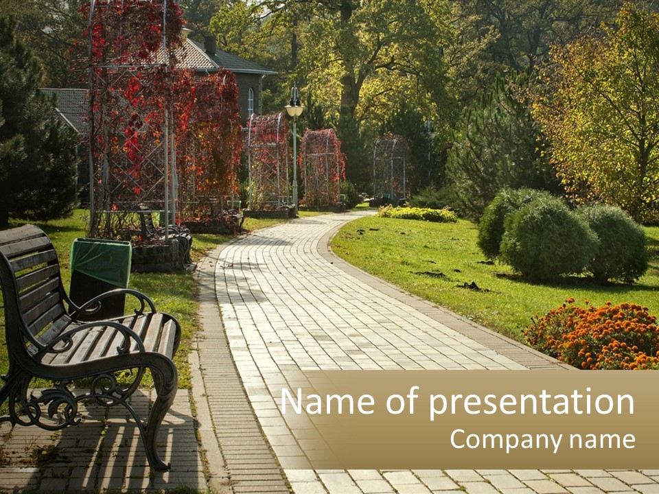 A Park Bench Sitting In The Middle Of A Walkway PowerPoint Template