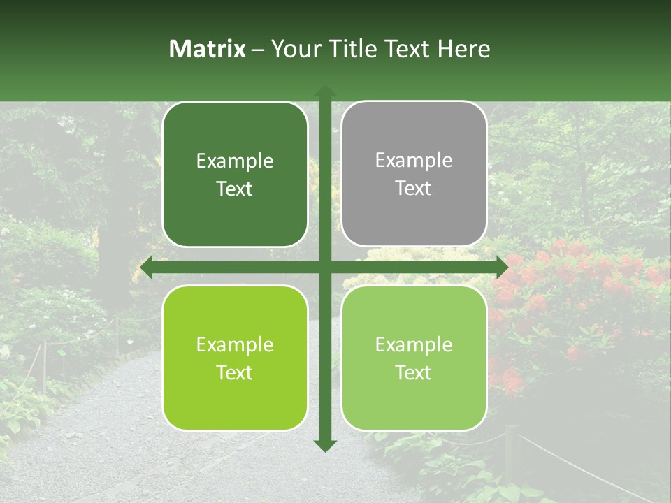 A Path In The Middle Of A Lush Green Park PowerPoint Template