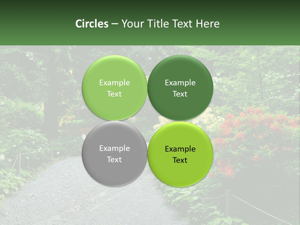 A Path In The Middle Of A Lush Green Park PowerPoint Template