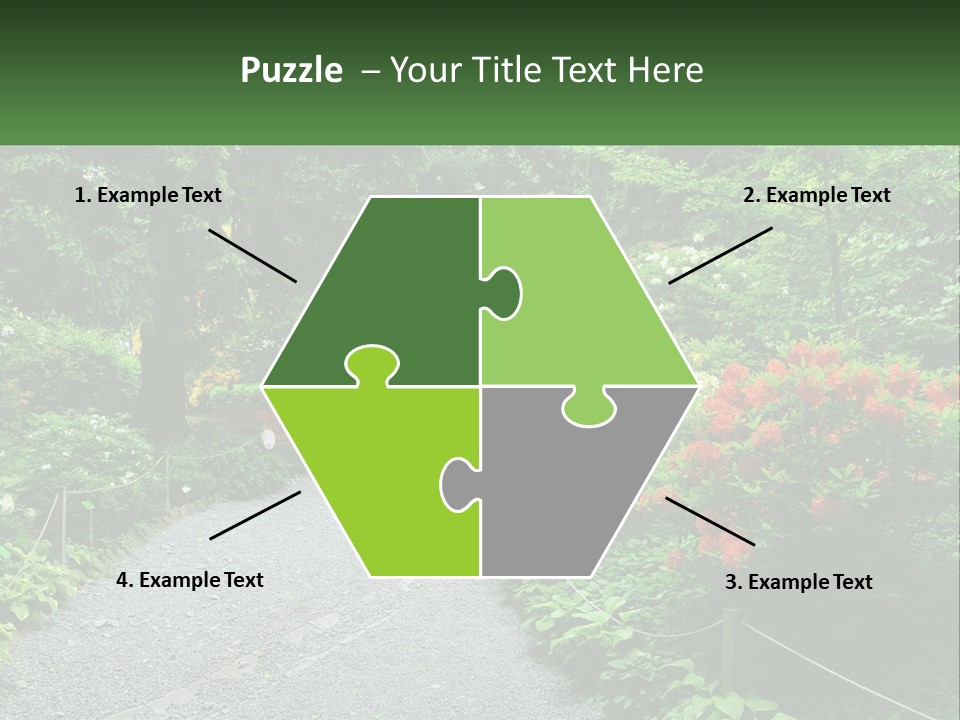 A Path In The Middle Of A Lush Green Park PowerPoint Template