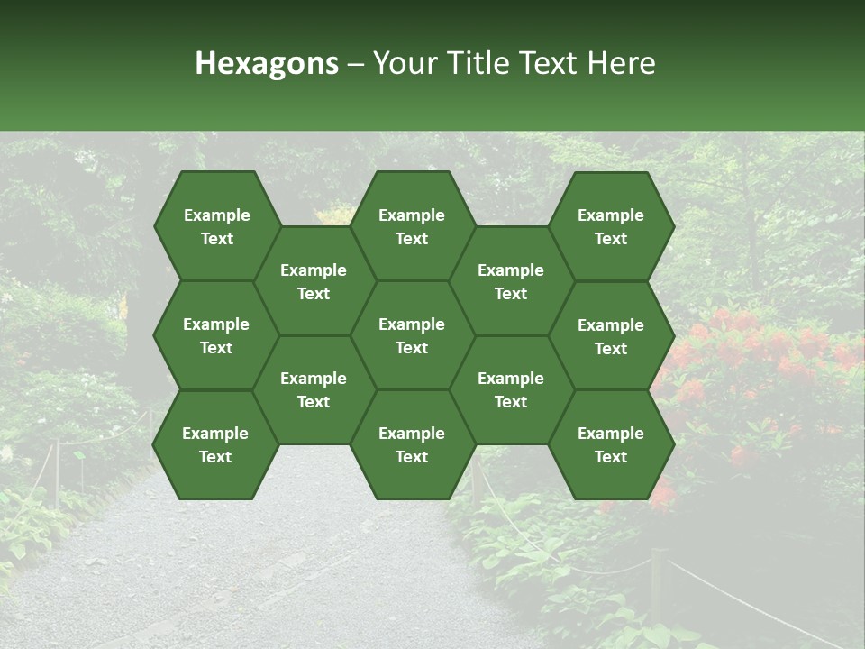 A Path In The Middle Of A Lush Green Park PowerPoint Template