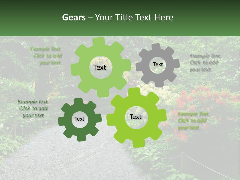 A Path In The Middle Of A Lush Green Park PowerPoint Template