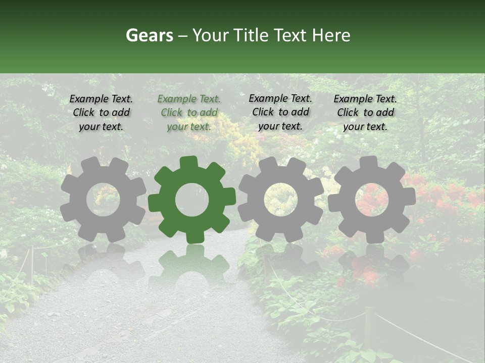 A Path In The Middle Of A Lush Green Park PowerPoint Template