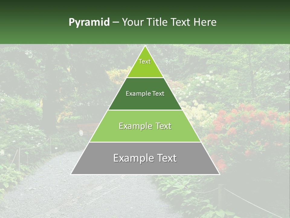 A Path In The Middle Of A Lush Green Park PowerPoint Template