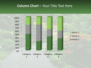 A Path In The Middle Of A Lush Green Park PowerPoint Template