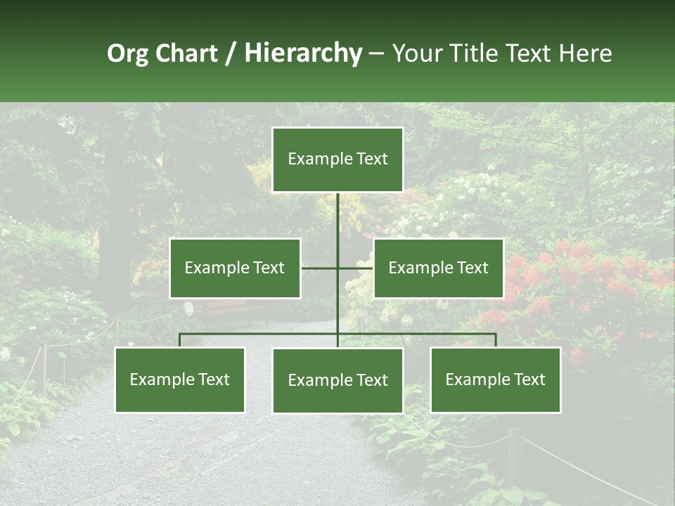 A Path In The Middle Of A Lush Green Park PowerPoint Template