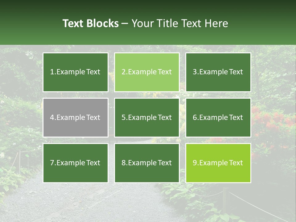 A Path In The Middle Of A Lush Green Park PowerPoint Template