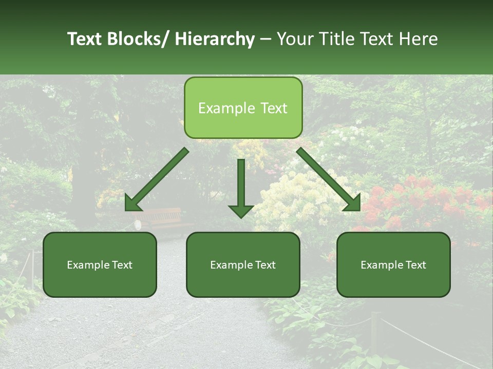 A Path In The Middle Of A Lush Green Park PowerPoint Template