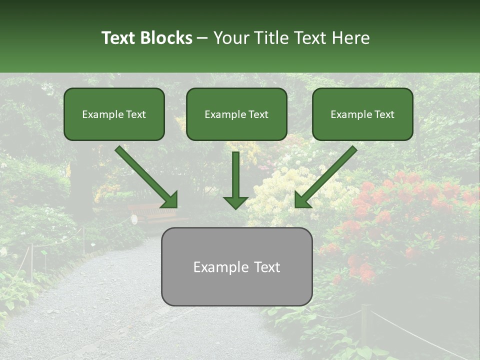 A Path In The Middle Of A Lush Green Park PowerPoint Template