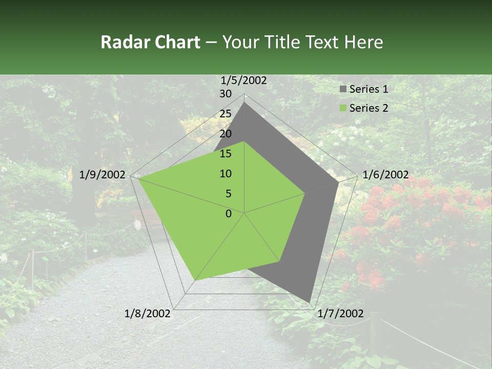 A Path In The Middle Of A Lush Green Park PowerPoint Template