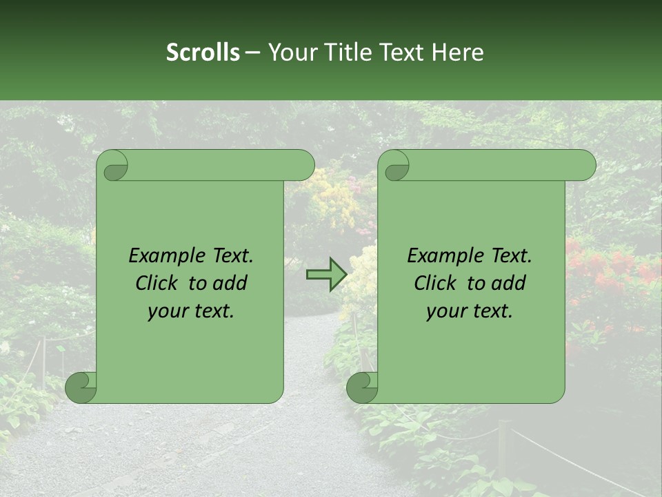 A Path In The Middle Of A Lush Green Park PowerPoint Template