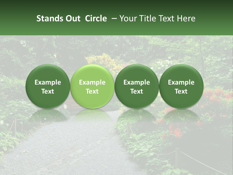 A Path In The Middle Of A Lush Green Park PowerPoint Template