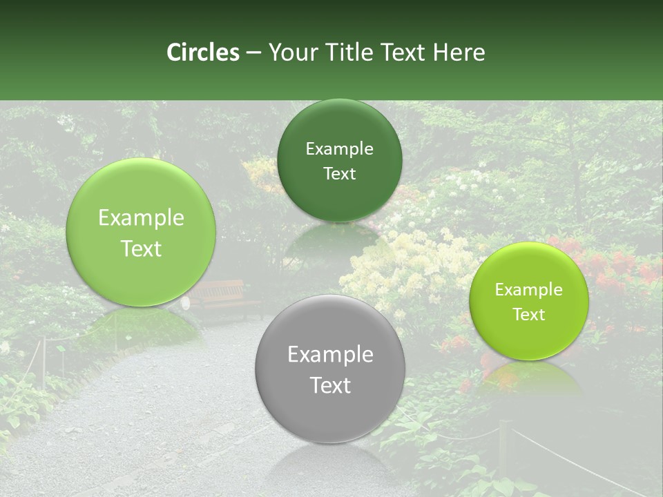 A Path In The Middle Of A Lush Green Park PowerPoint Template