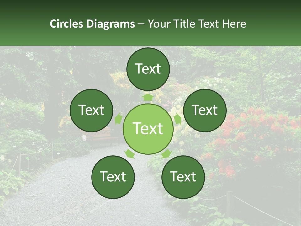 A Path In The Middle Of A Lush Green Park PowerPoint Template