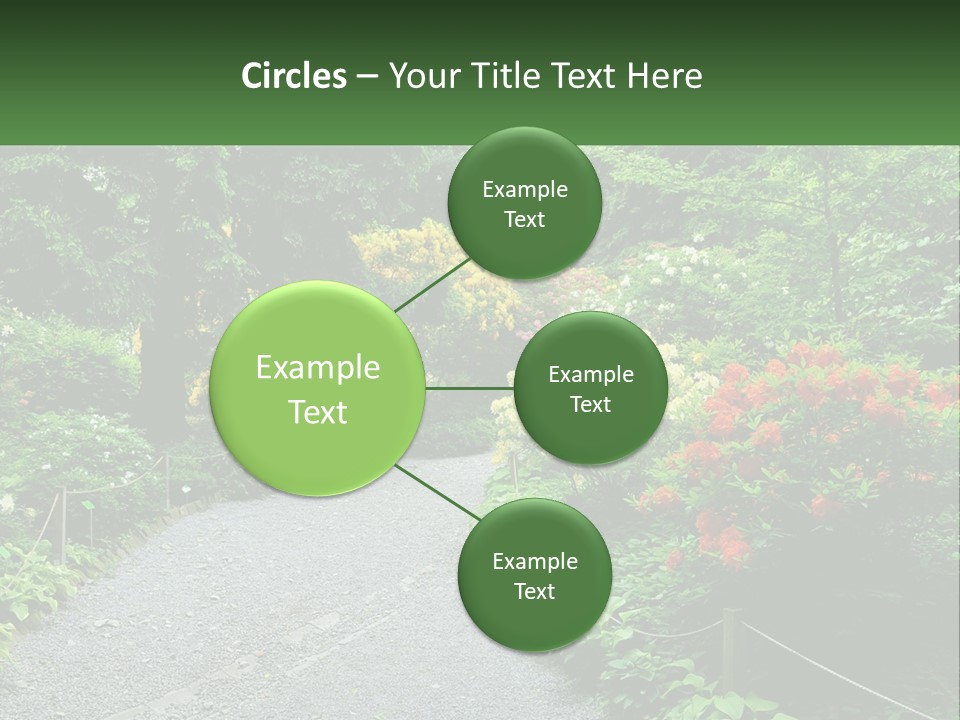 A Path In The Middle Of A Lush Green Park PowerPoint Template