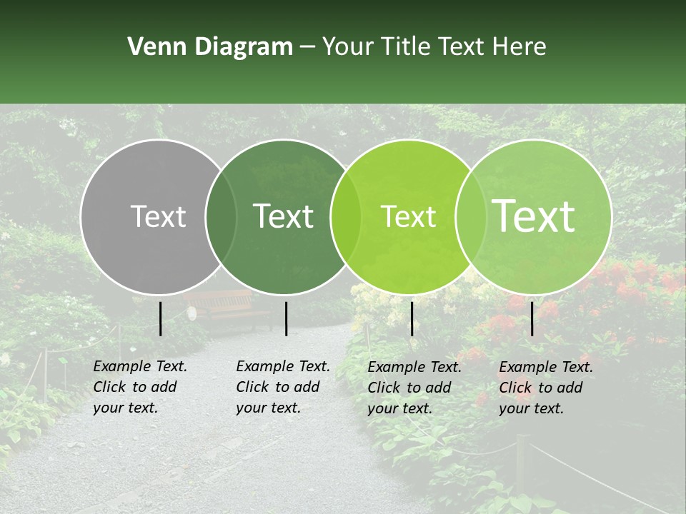 A Path In The Middle Of A Lush Green Park PowerPoint Template