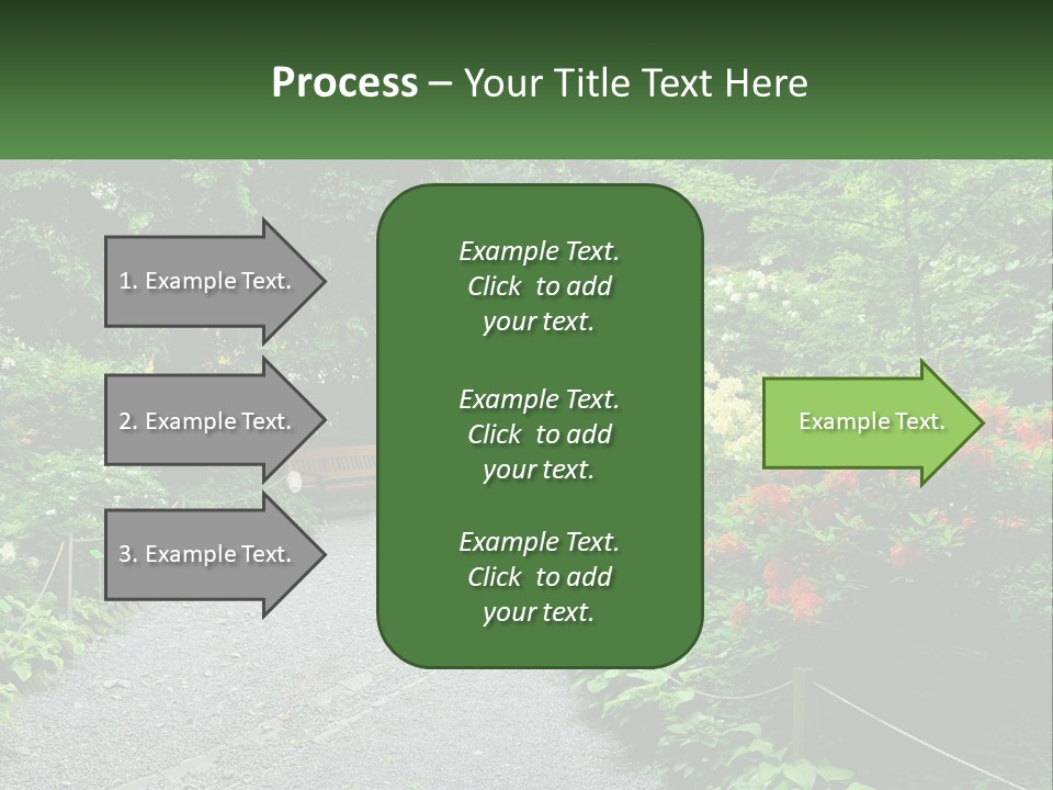 A Path In The Middle Of A Lush Green Park PowerPoint Template