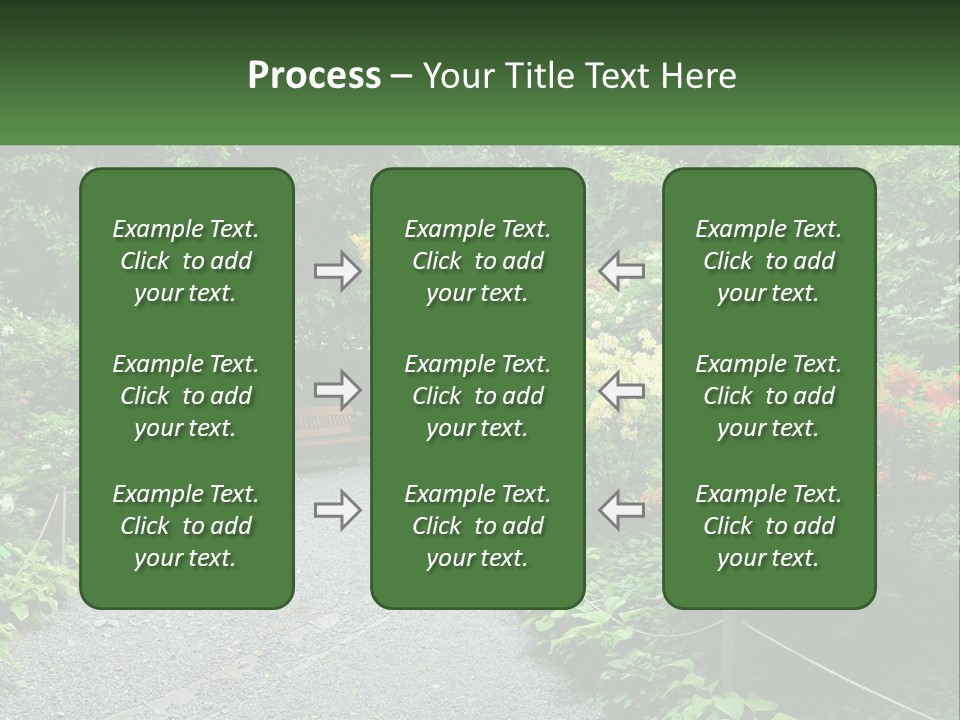 A Path In The Middle Of A Lush Green Park PowerPoint Template