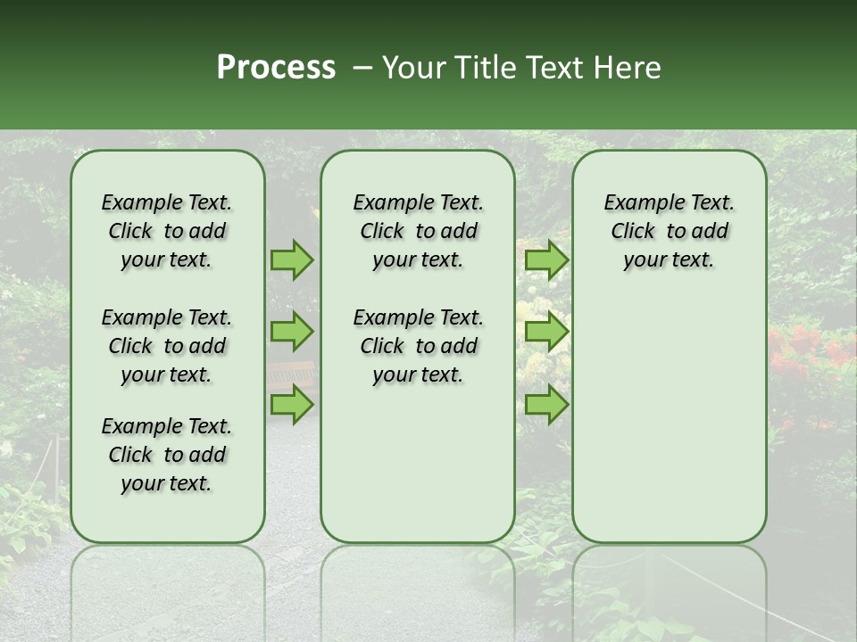 A Path In The Middle Of A Lush Green Park PowerPoint Template