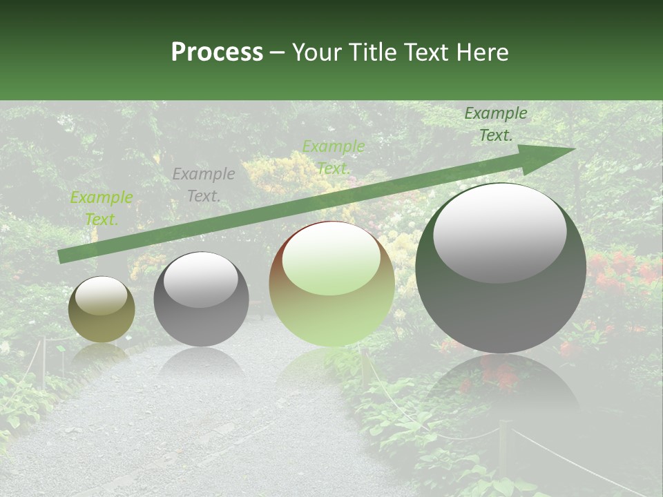 A Path In The Middle Of A Lush Green Park PowerPoint Template