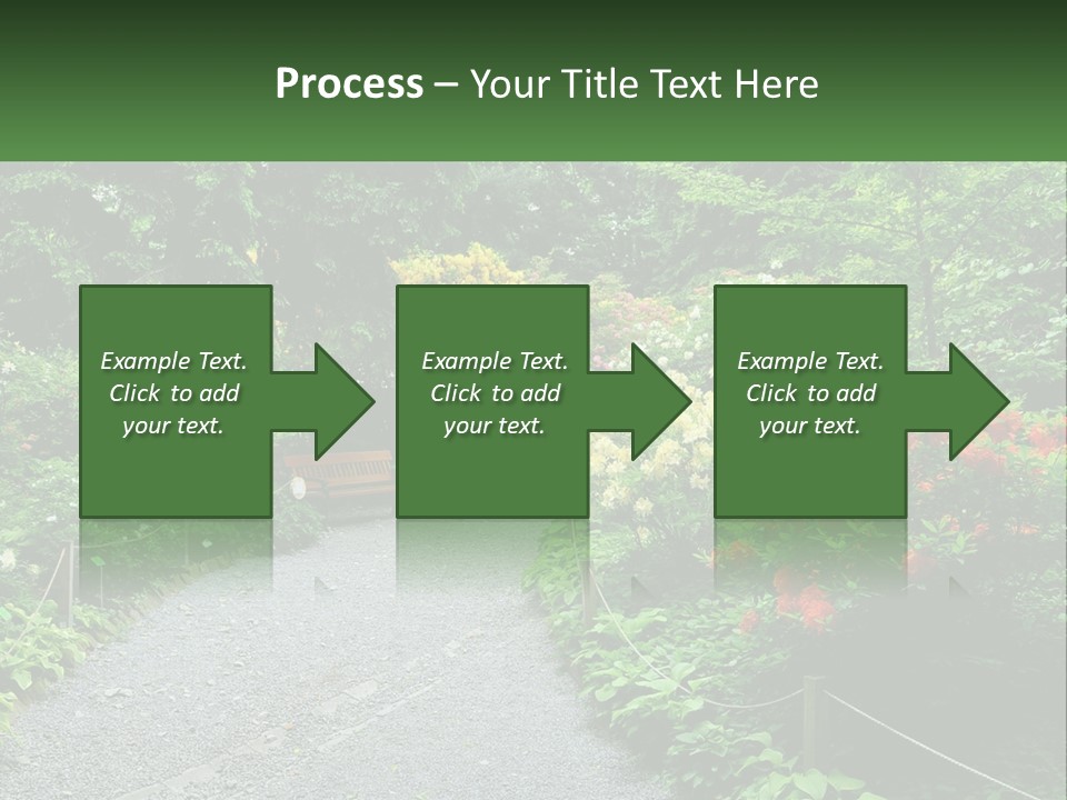 A Path In The Middle Of A Lush Green Park PowerPoint Template