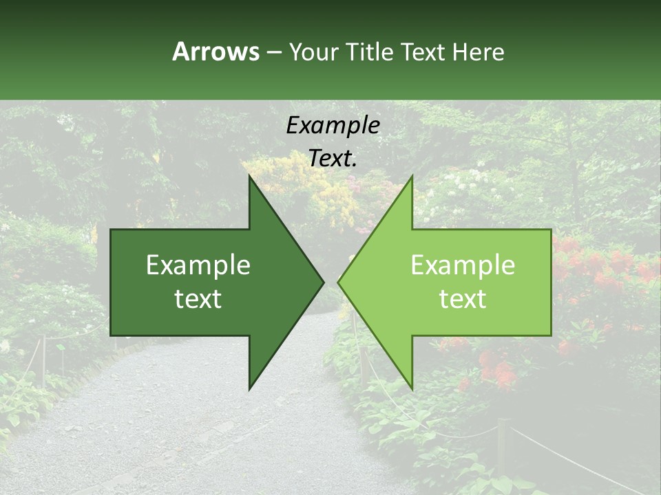 A Path In The Middle Of A Lush Green Park PowerPoint Template
