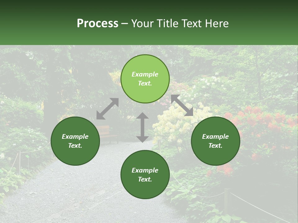 A Path In The Middle Of A Lush Green Park PowerPoint Template