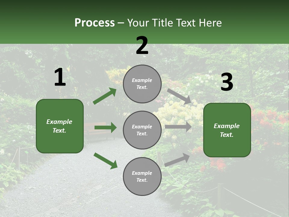 A Path In The Middle Of A Lush Green Park PowerPoint Template