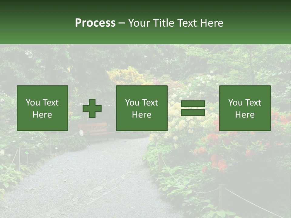 A Path In The Middle Of A Lush Green Park PowerPoint Template