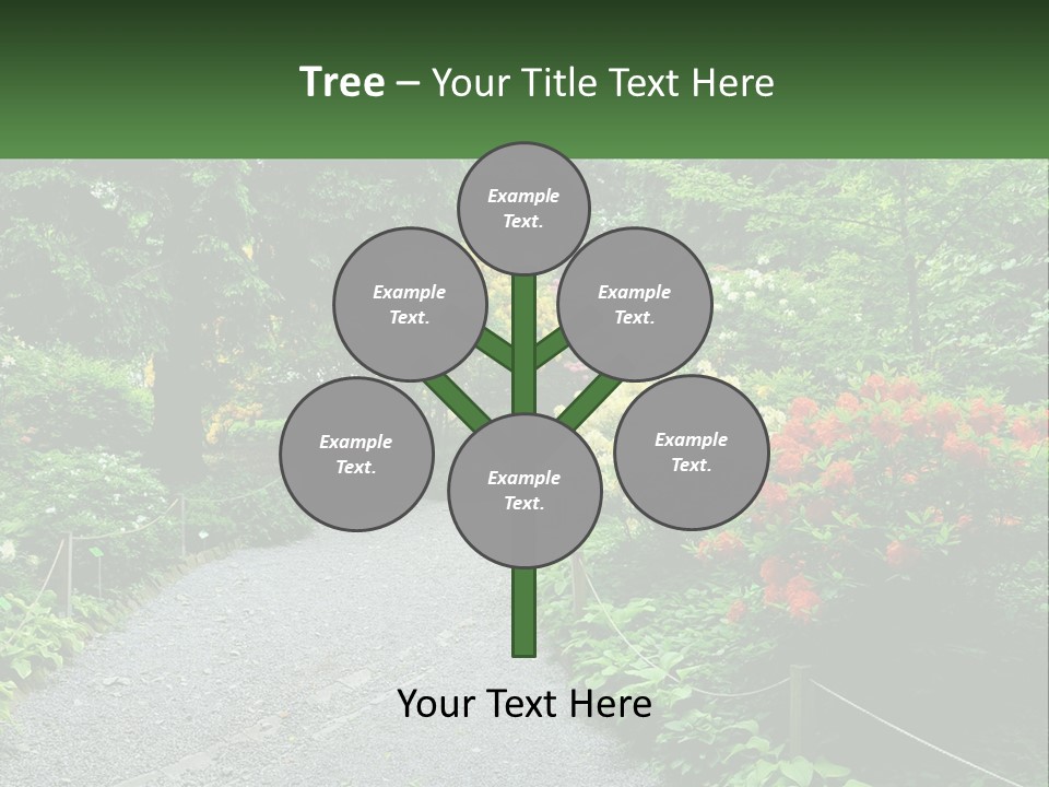A Path In The Middle Of A Lush Green Park PowerPoint Template