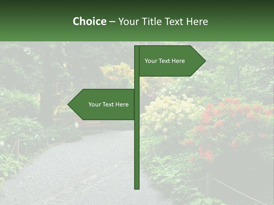 A Path In The Middle Of A Lush Green Park PowerPoint Template