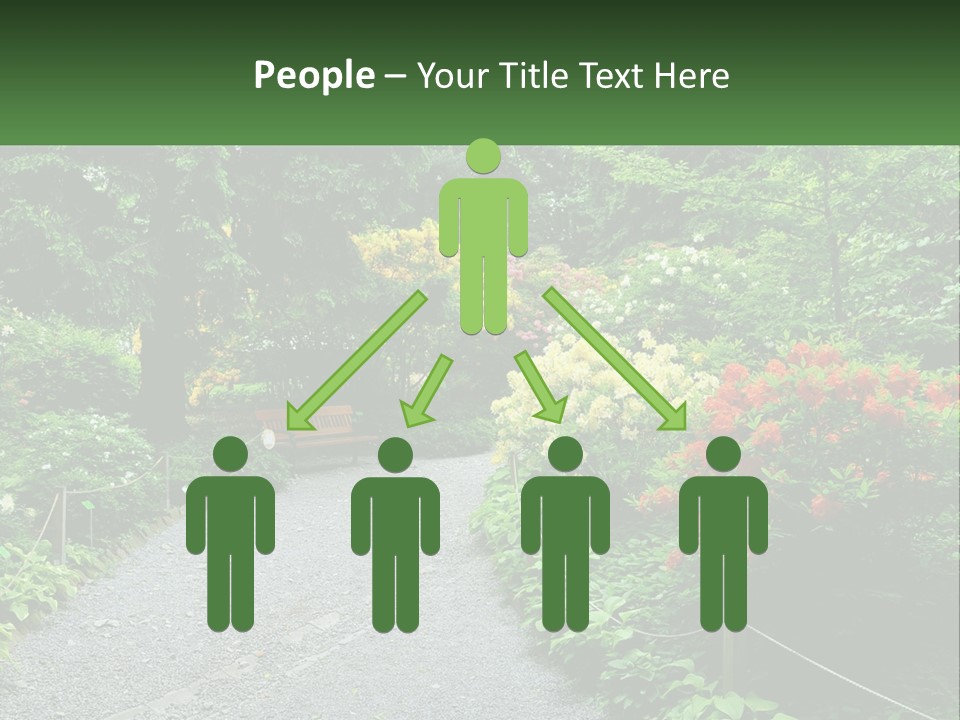 A Path In The Middle Of A Lush Green Park PowerPoint Template