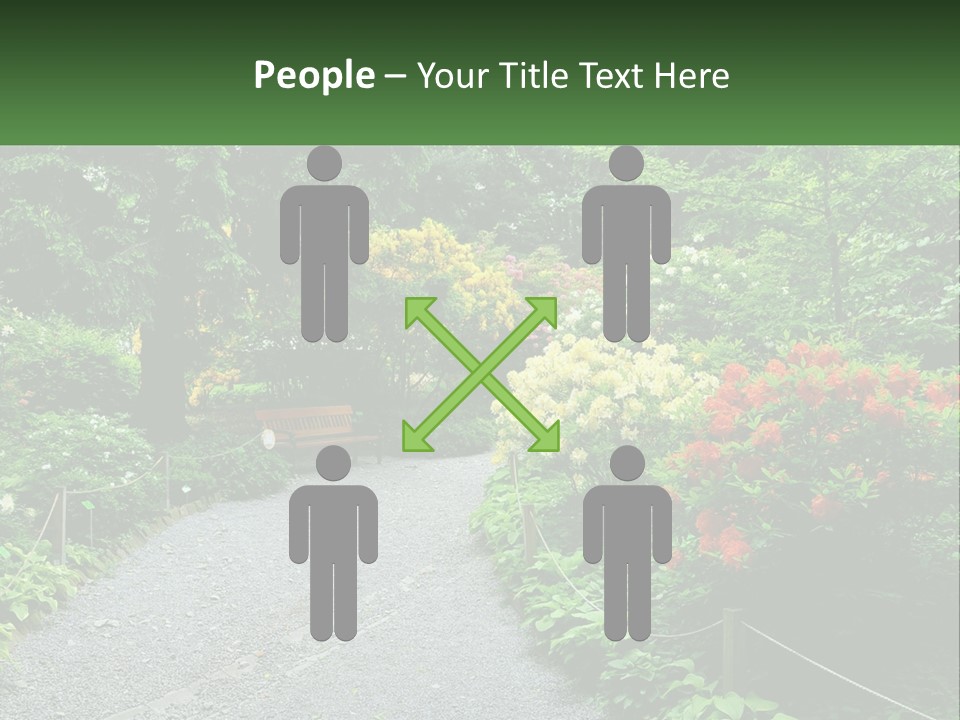 A Path In The Middle Of A Lush Green Park PowerPoint Template