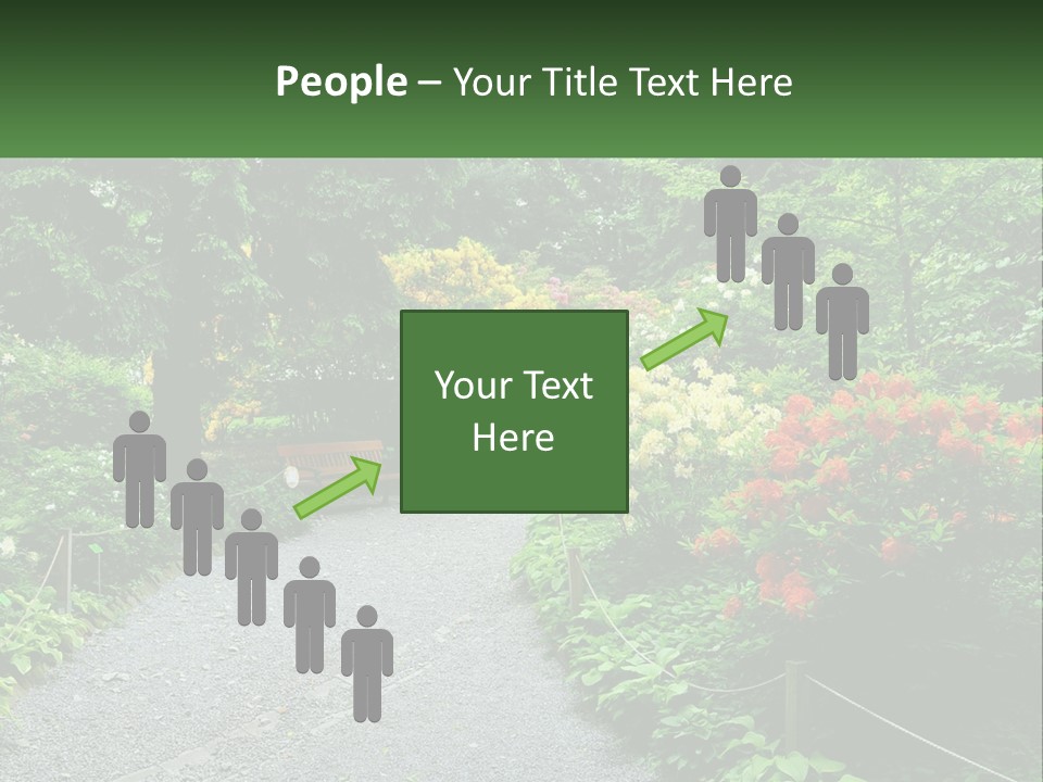 A Path In The Middle Of A Lush Green Park PowerPoint Template
