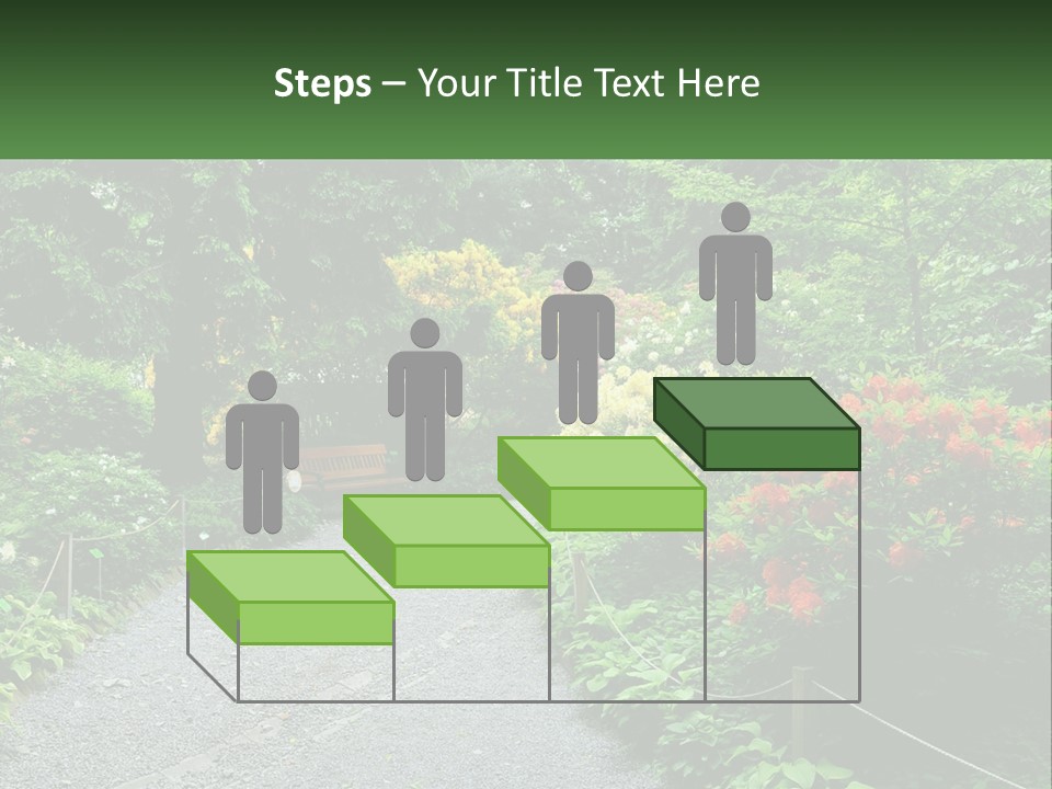 A Path In The Middle Of A Lush Green Park PowerPoint Template