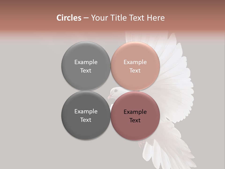 A White Dove Flying In The Air With Its Wings Spread PowerPoint Template