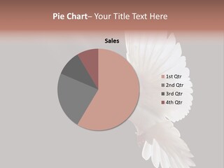 A White Dove Flying In The Air With Its Wings Spread PowerPoint Template