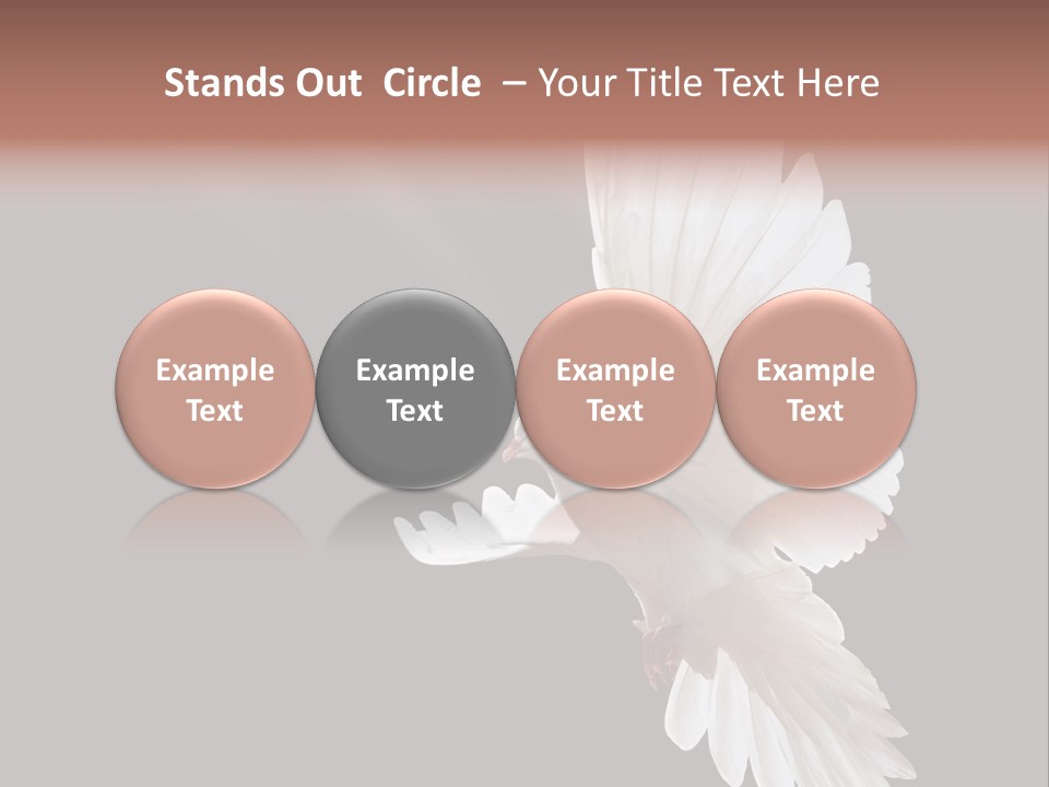 A White Dove Flying In The Air With Its Wings Spread PowerPoint Template