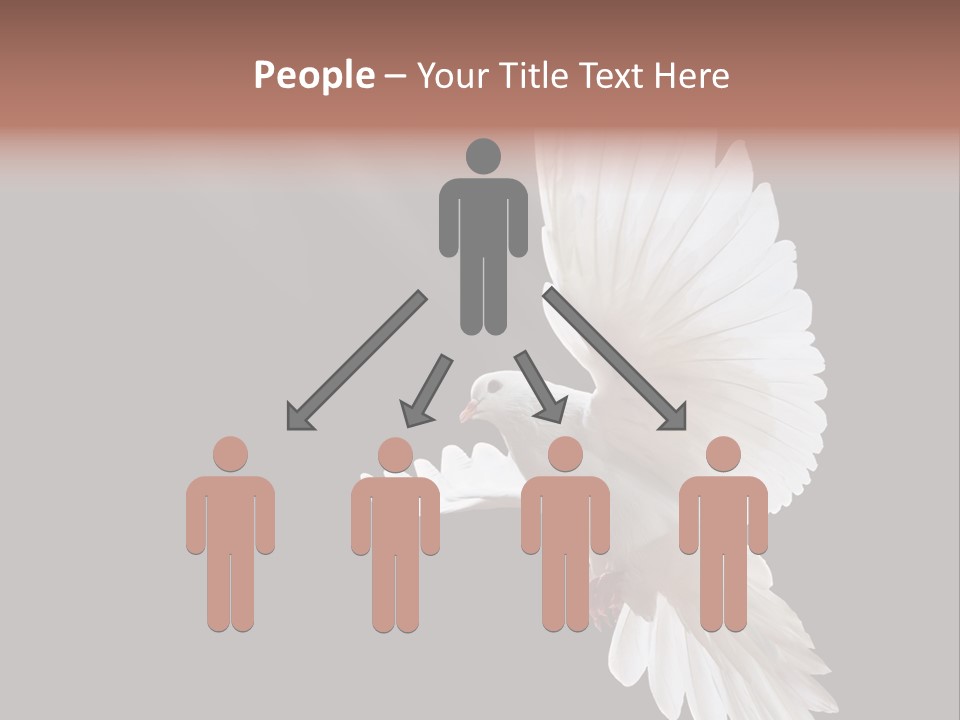 A White Dove Flying In The Air With Its Wings Spread PowerPoint Template