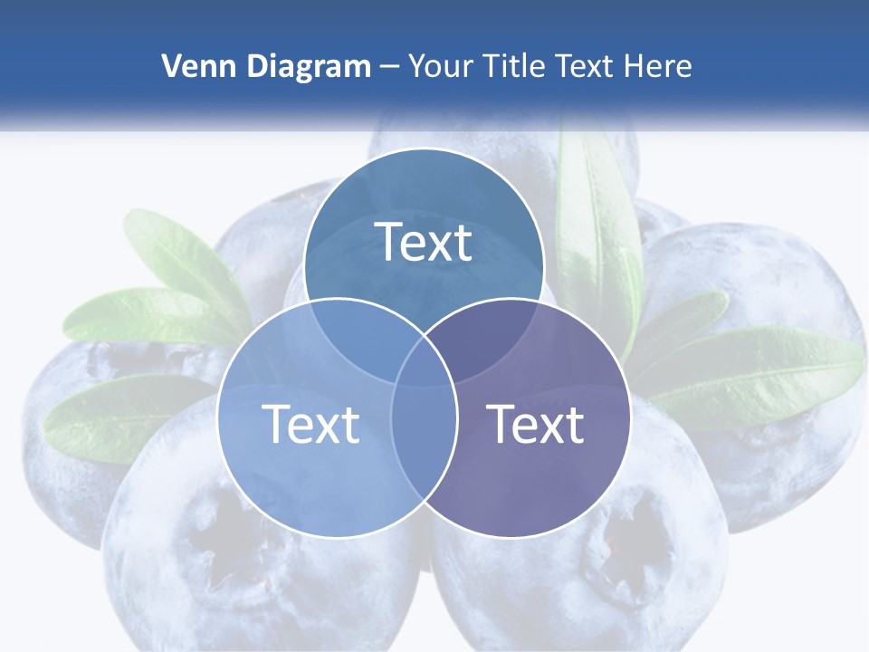 A Pile Of Blueberries With Leaves On Top Of It PowerPoint Template