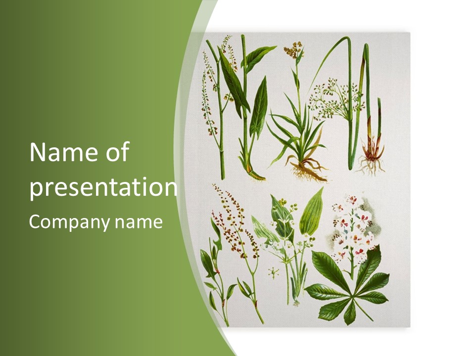 A Bunch Of Plants That Are On A White Surface PowerPoint Template