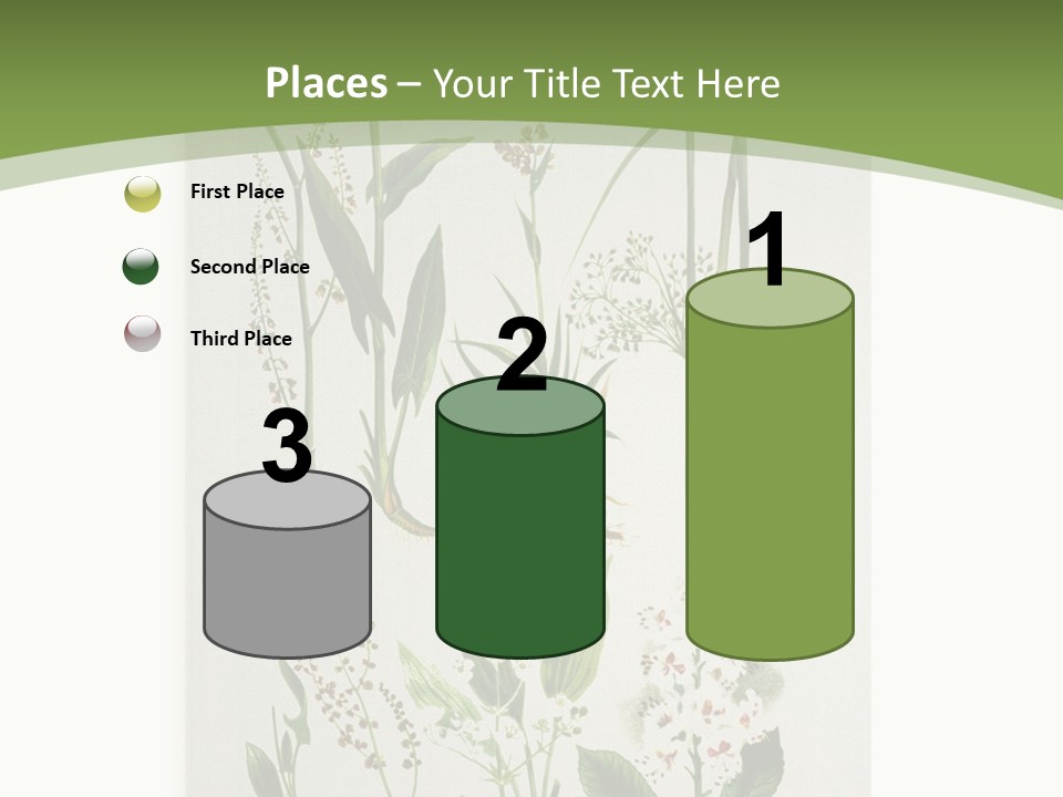 A Bunch Of Plants That Are On A White Surface PowerPoint Template
