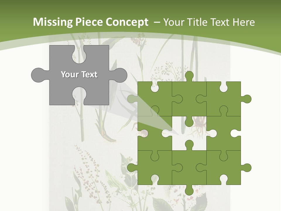 A Bunch Of Plants That Are On A White Surface PowerPoint Template