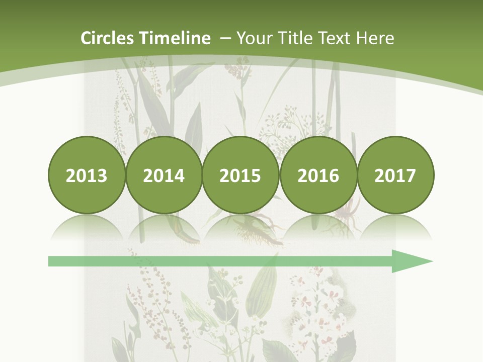 A Bunch Of Plants That Are On A White Surface PowerPoint Template