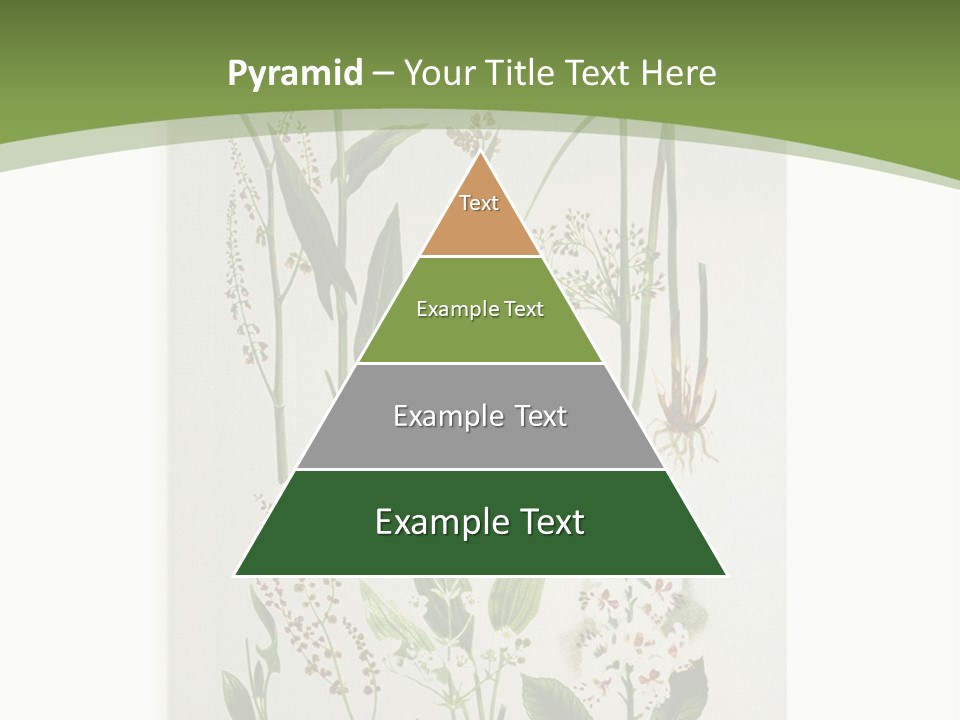 A Bunch Of Plants That Are On A White Surface PowerPoint Template